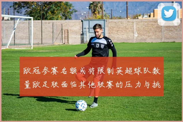欧冠参赛名额或将限制英超球队数量欧足联面临其他联赛的压力与挑战